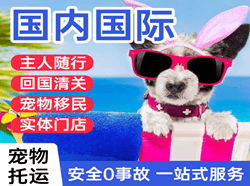 海浪空运代理国际宠物托运 【国